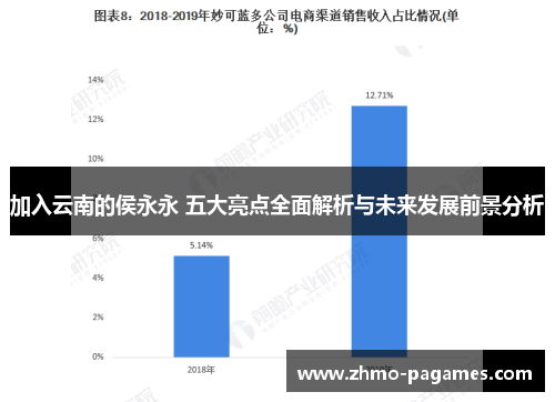 加入云南的侯永永 五大亮点全面解析与未来发展前景分析 加入云南的侯永永 五大亮点全面解析与未来发展前景分析