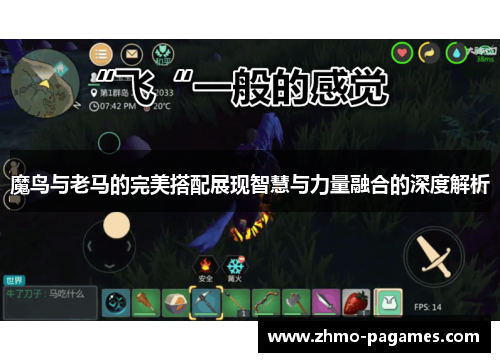 魔鸟与老马的完美搭配展现智慧与力量融合的深度解析