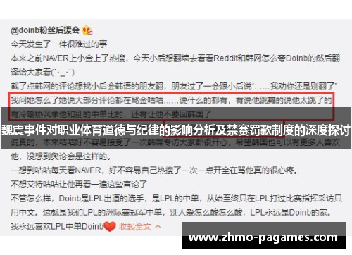 魏震事件对职业体育道德与纪律的影响分析及禁赛罚款制度的深度探讨
