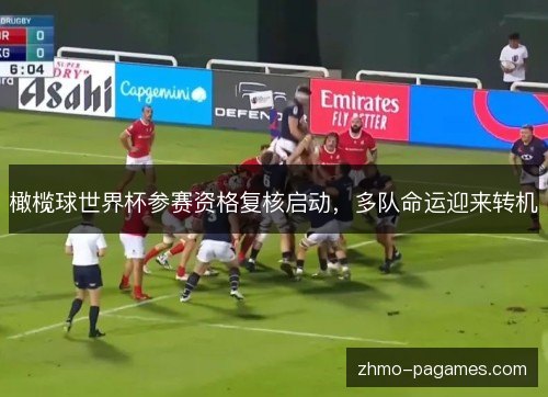 橄榄球世界杯参赛资格复核启动，多队命运迎来转机